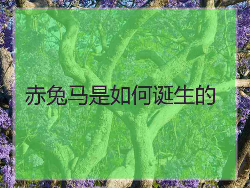 赤兔马是如何诞生的