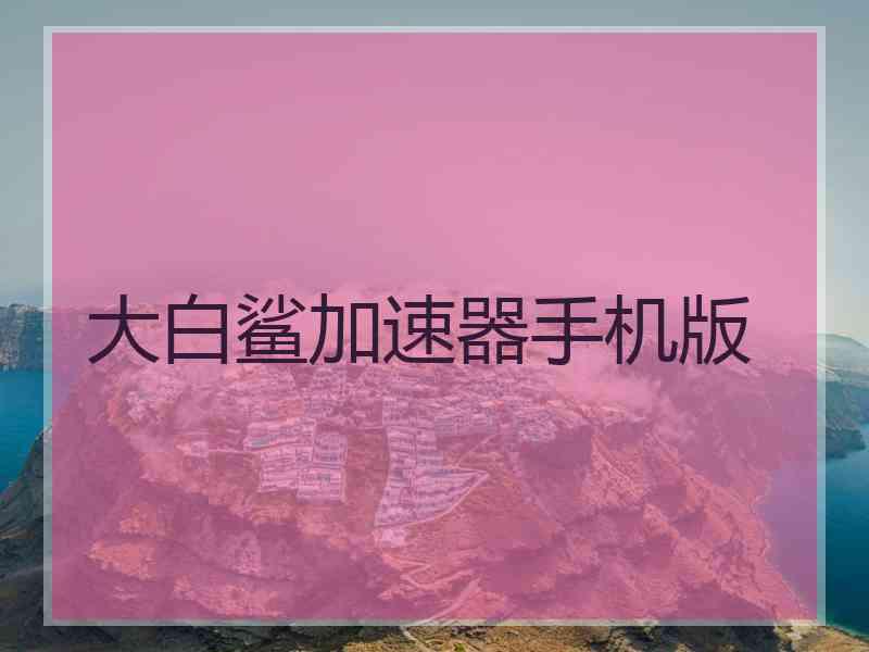 大白鲨加速器手机版
