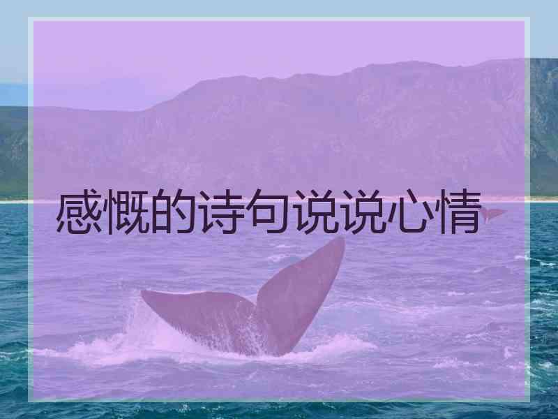 感慨的诗句说说心情