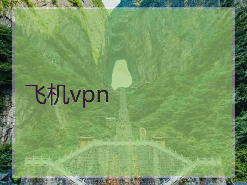 飞机vpn