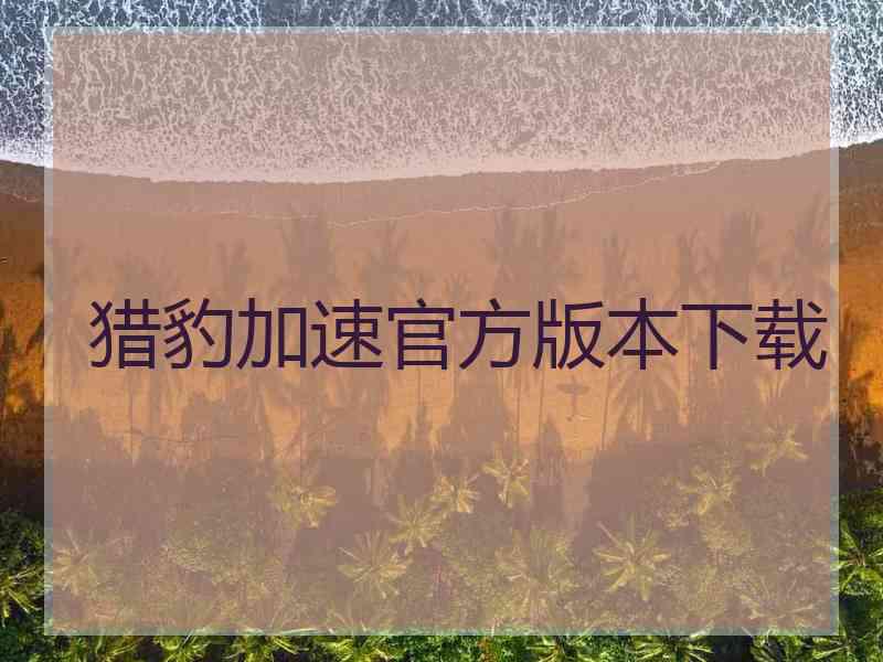 猎豹加速官方版本下载