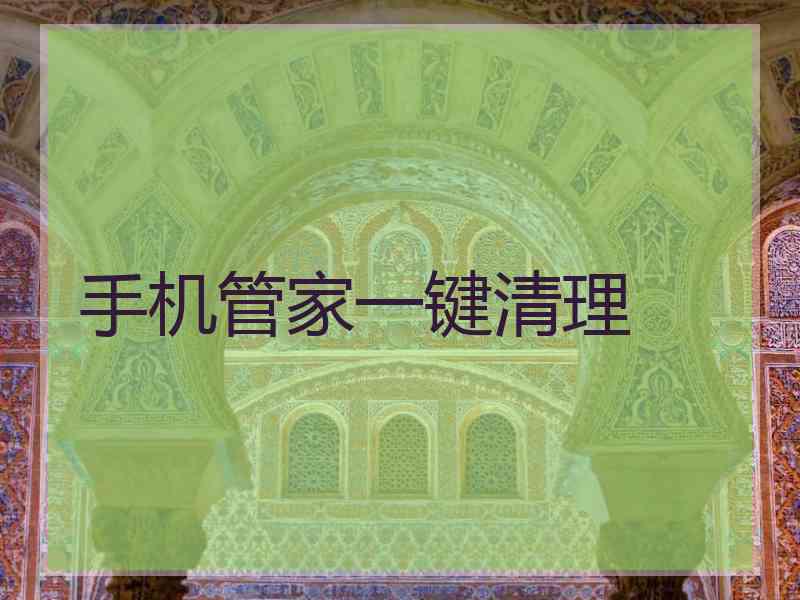 手机管家一键清理