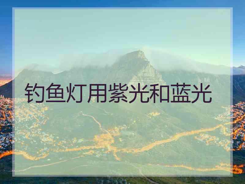 钓鱼灯用紫光和蓝光