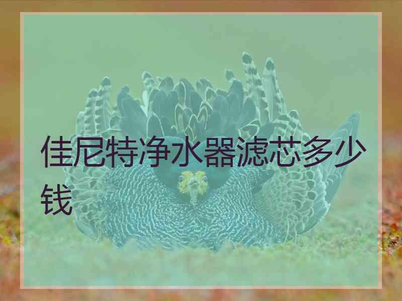 佳尼特净水器滤芯多少钱