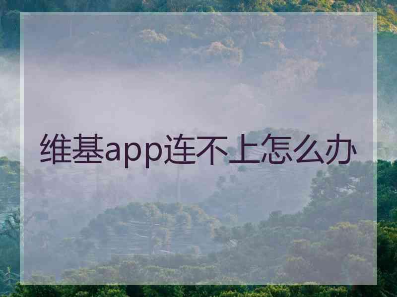 维基app连不上怎么办