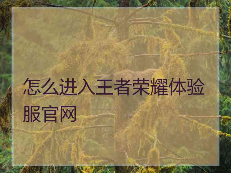怎么进入王者荣耀体验服官网
