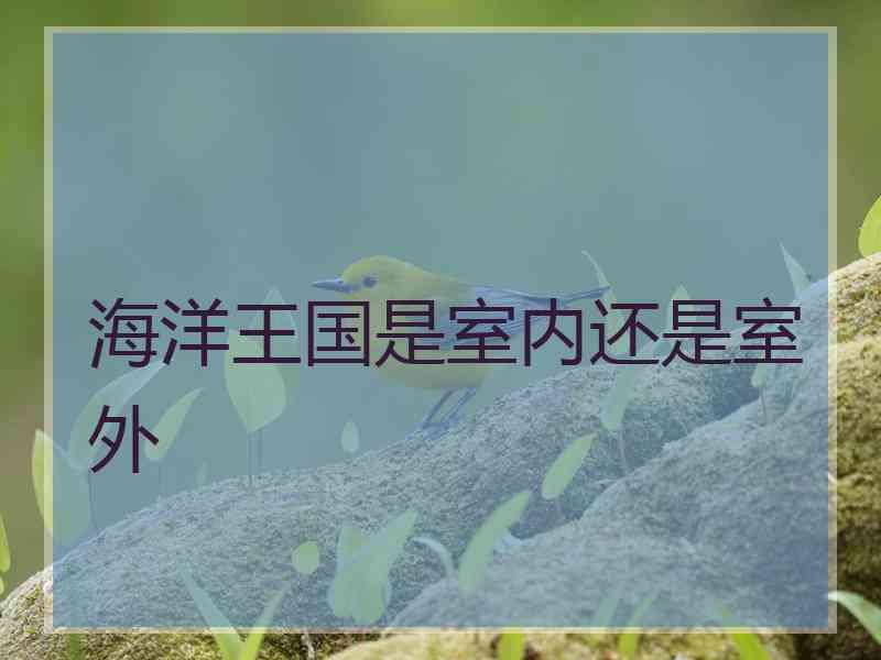 海洋王国是室内还是室外