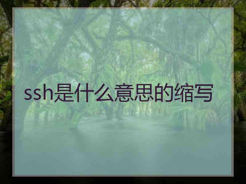 ssh是什么意思的缩写