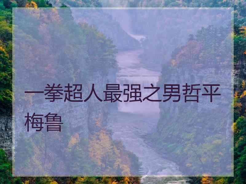 一拳超人最强之男哲平梅鲁