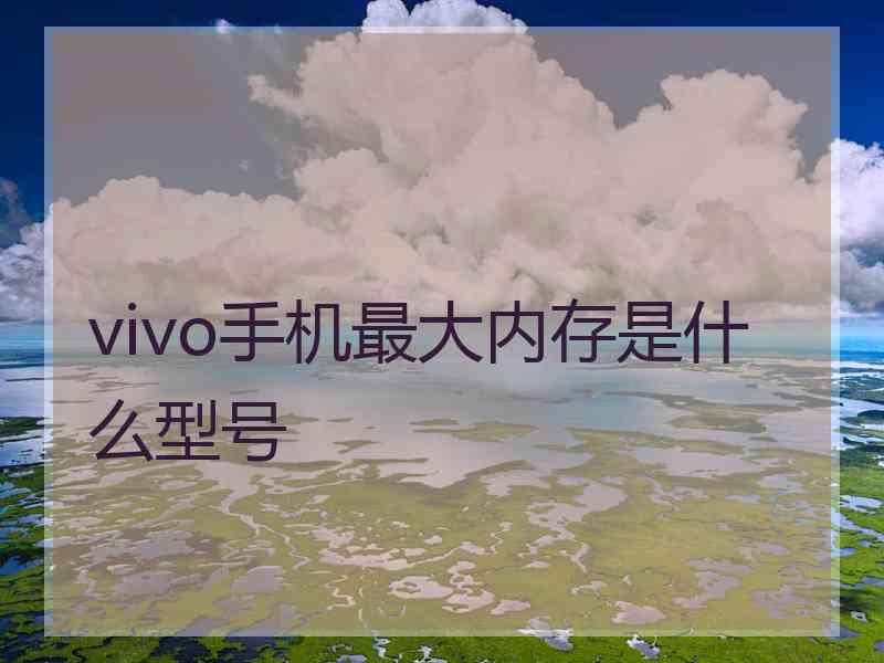 vivo手机最大内存是什么型号