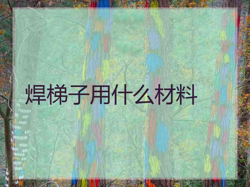 焊梯子用什么材料