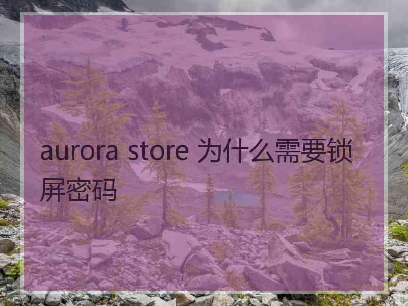 aurora store 为什么需要锁屏密码