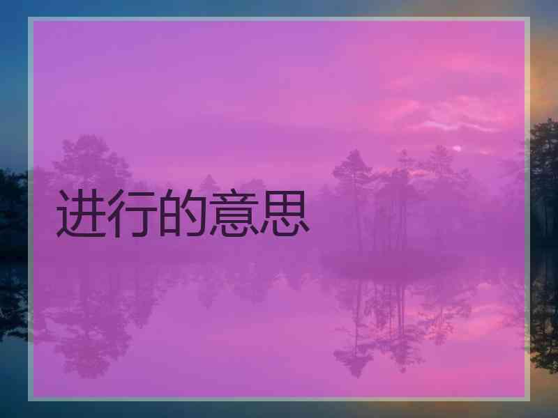 进行的意思