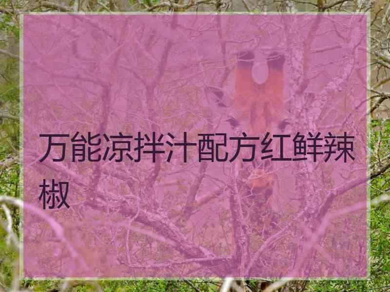 万能凉拌汁配方红鲜辣椒
