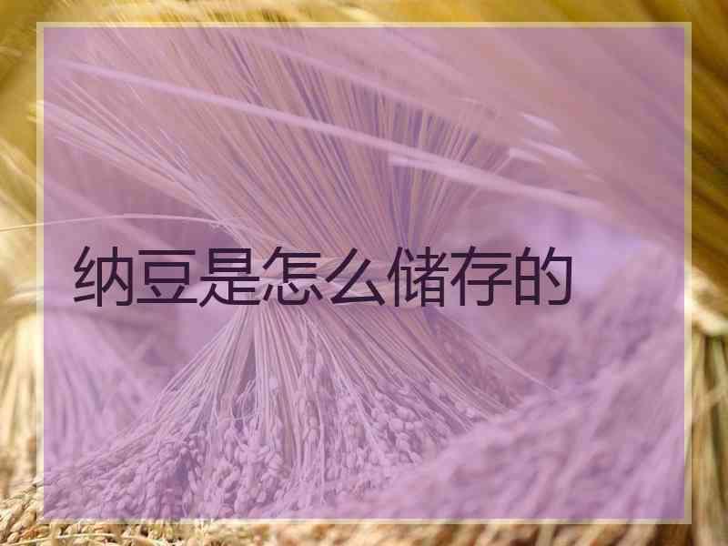 纳豆是怎么储存的
