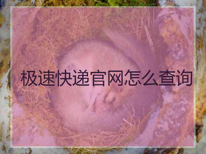 极速快递官网怎么查询