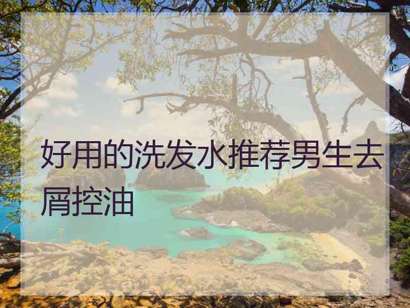 好用的洗发水推荐男生去屑控油