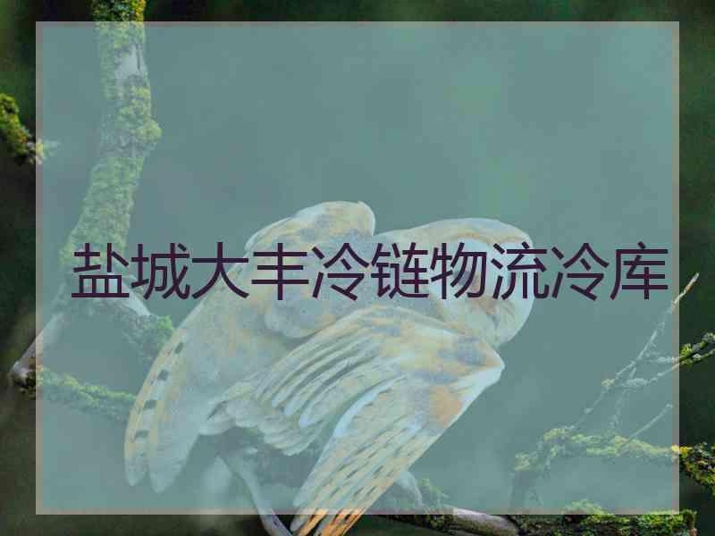 盐城大丰冷链物流冷库