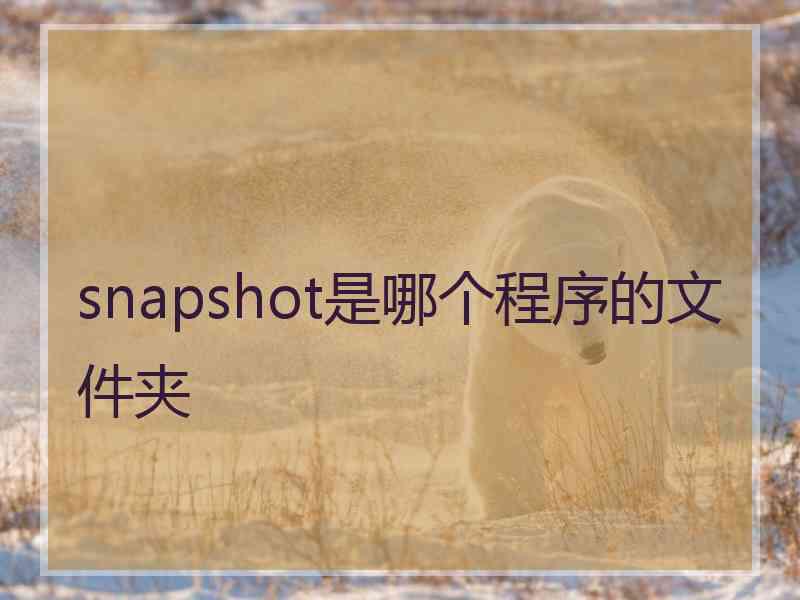 snapshot是哪个程序的文件夹
