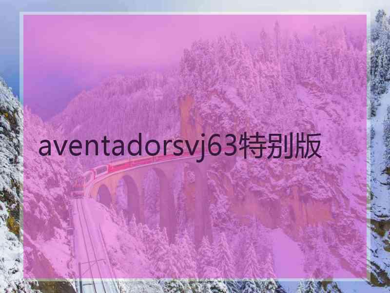 aventadorsvj63特别版