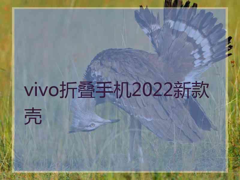 vivo折叠手机2022新款壳