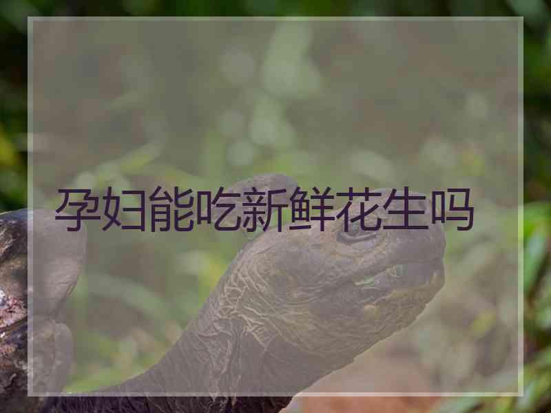 孕妇能吃新鲜花生吗