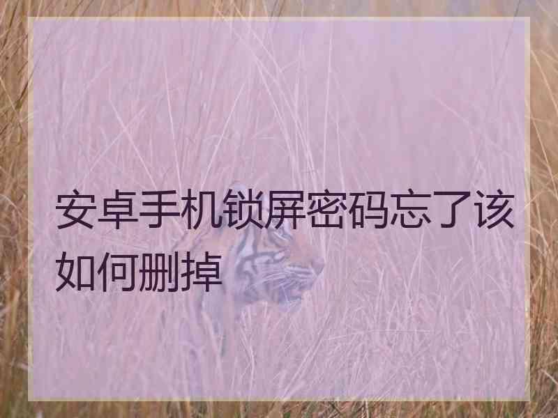 安卓手机锁屏密码忘了该如何删掉