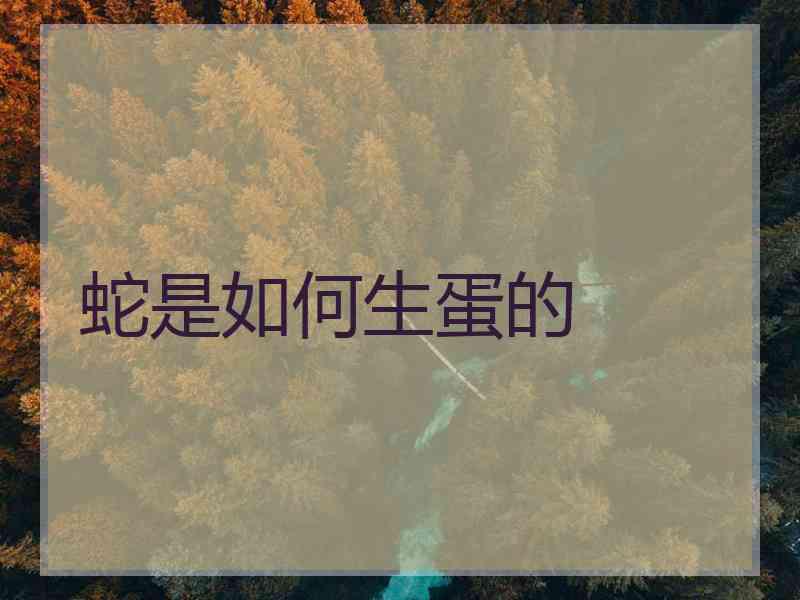 蛇是如何生蛋的