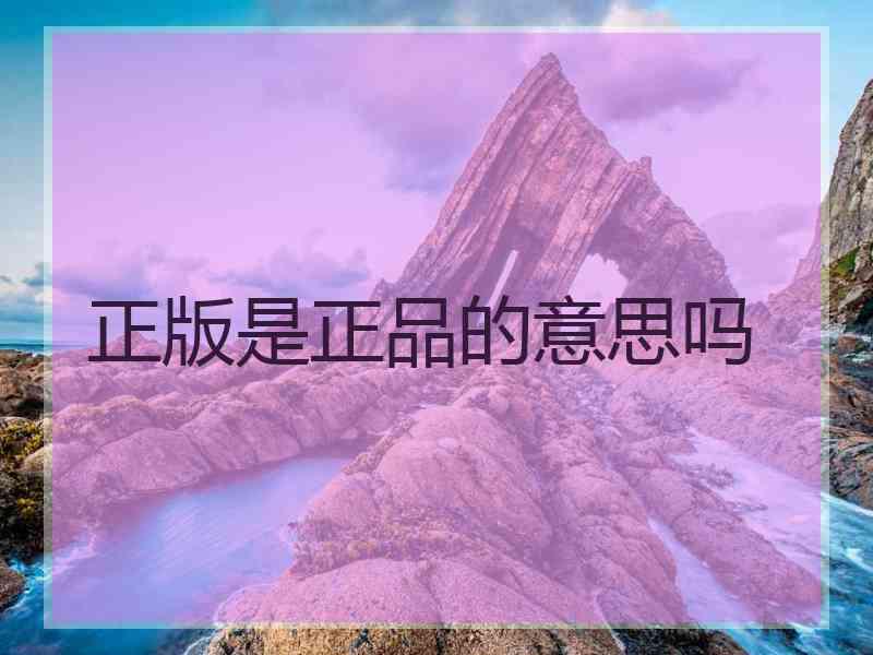 正版是正品的意思吗