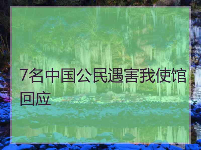 7名中国公民遇害我使馆回应