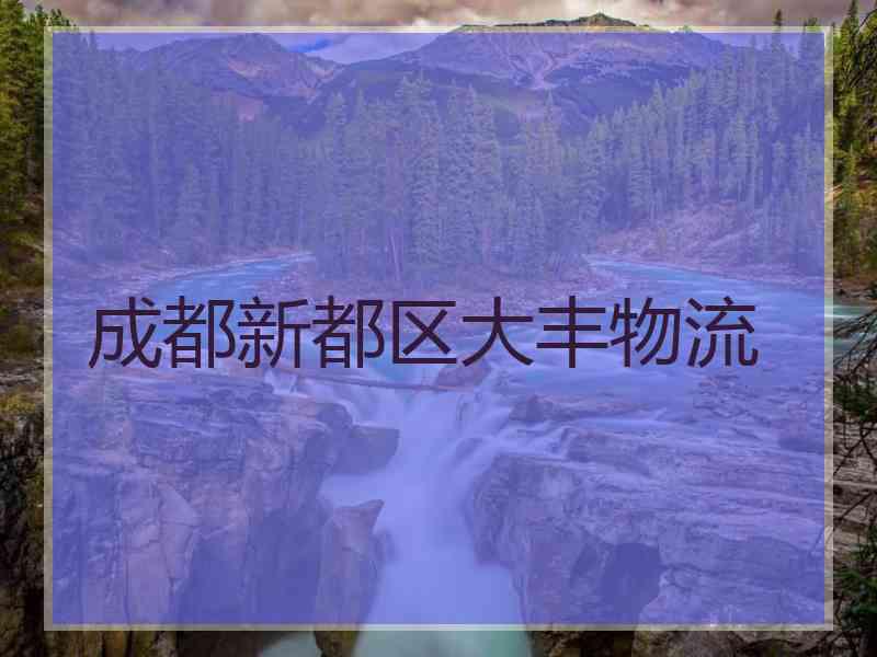 成都新都区大丰物流