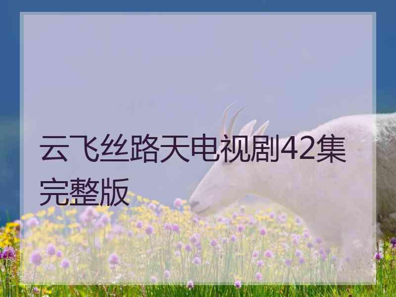 云飞丝路天电视剧42集完整版