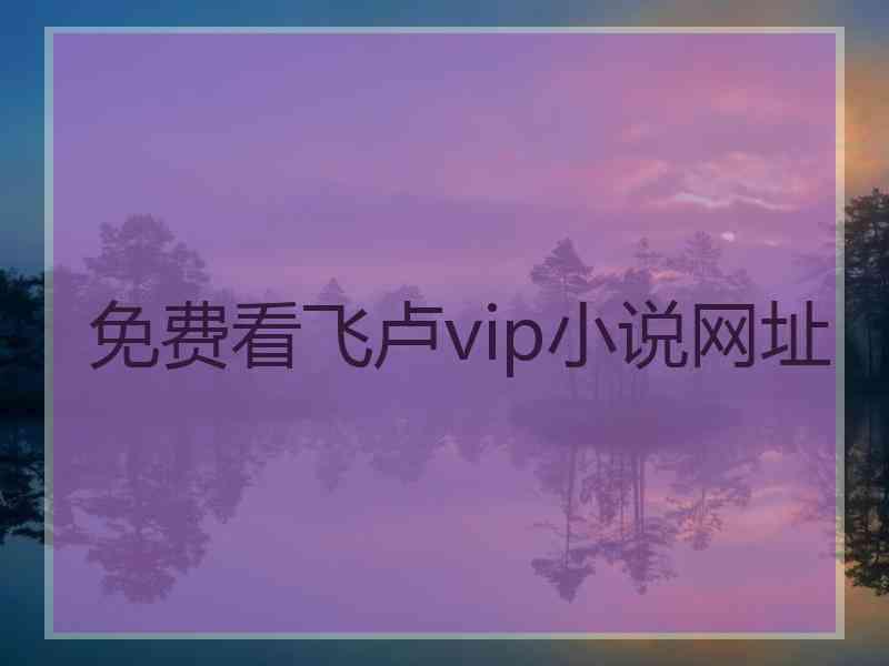 免费看飞卢vip小说网址