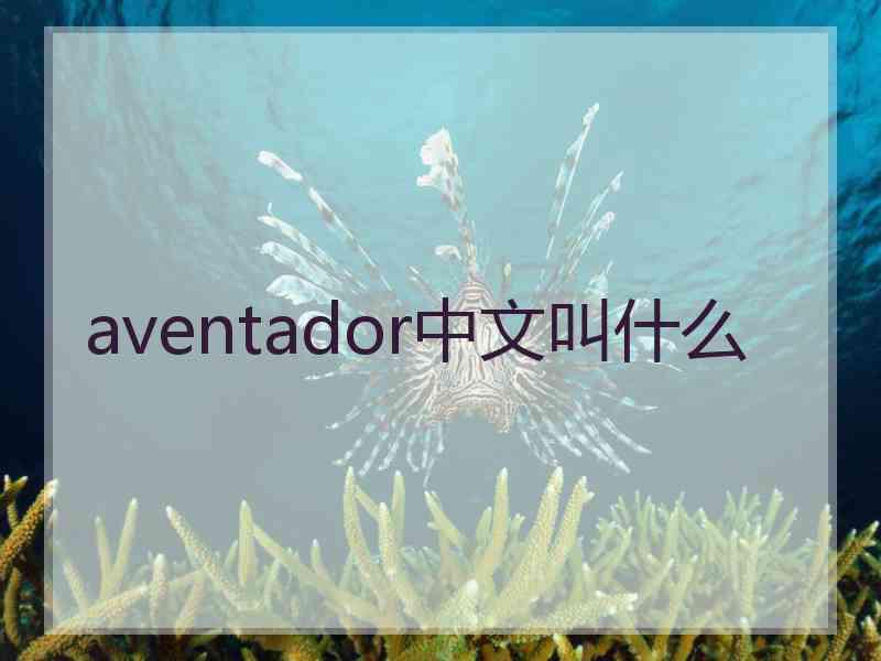 aventador中文叫什么