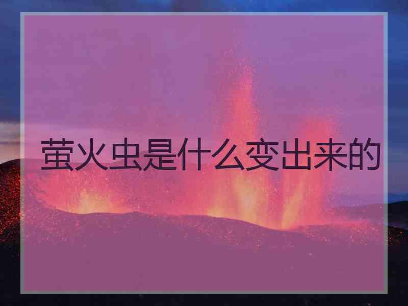 萤火虫是什么变出来的