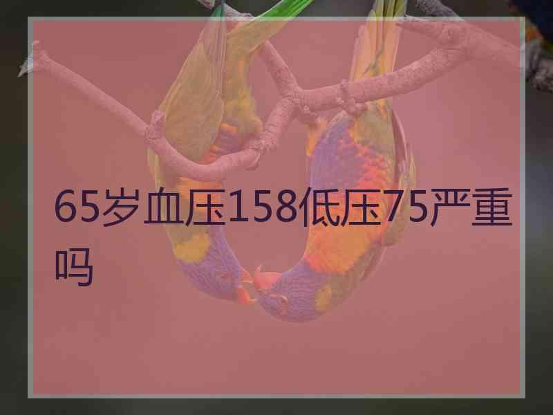 65岁血压158低压75严重吗