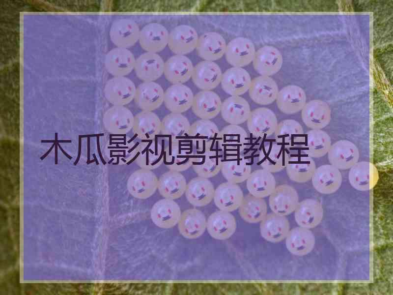 木瓜影视剪辑教程