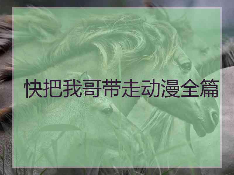 快把我哥带走动漫全篇