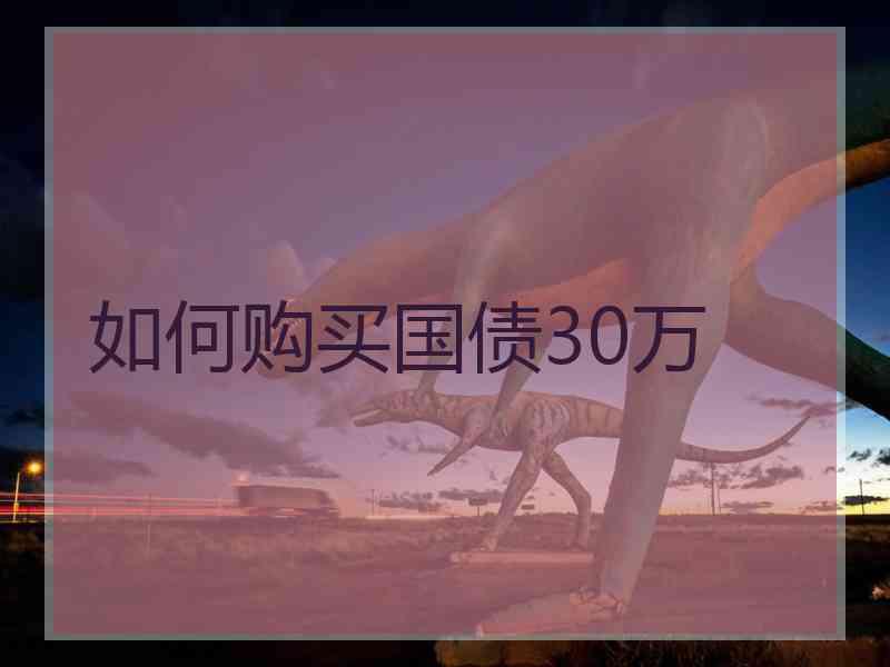如何购买国债30万