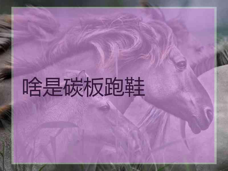 啥是碳板跑鞋
