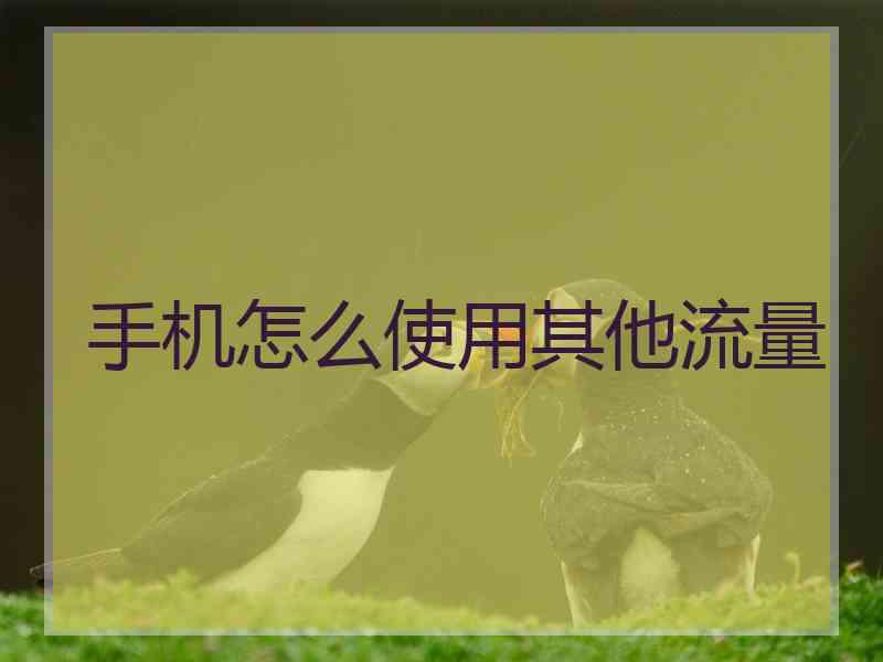手机怎么使用其他流量