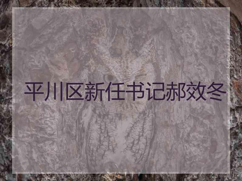 平川区新任书记郝效冬