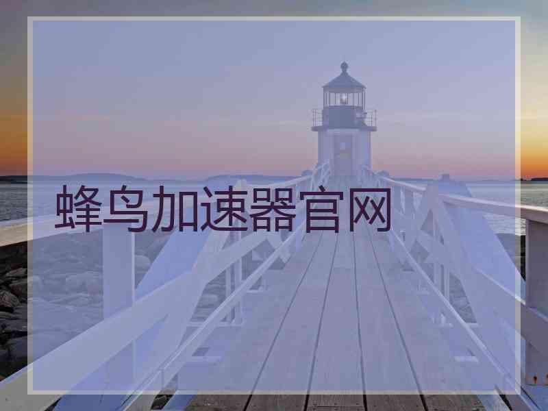 蜂鸟加速器官网