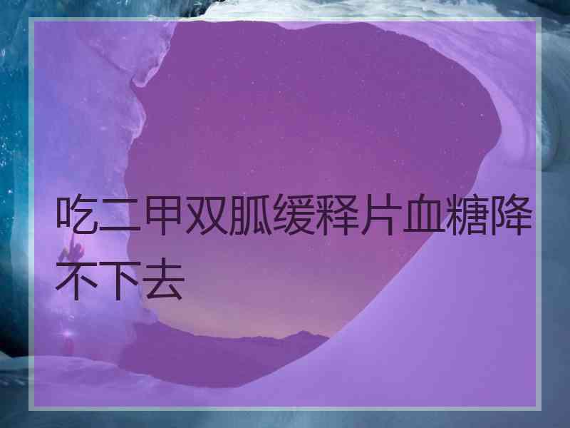 吃二甲双胍缓释片血糖降不下去