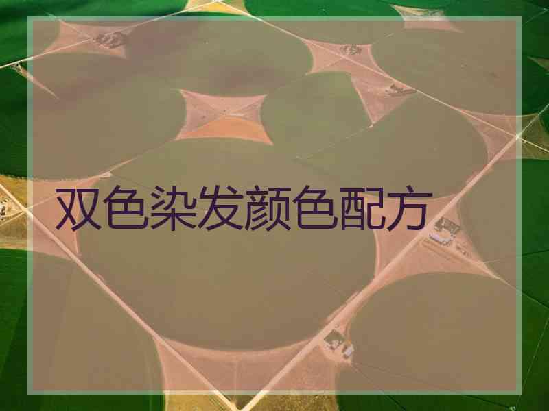 双色染发颜色配方
