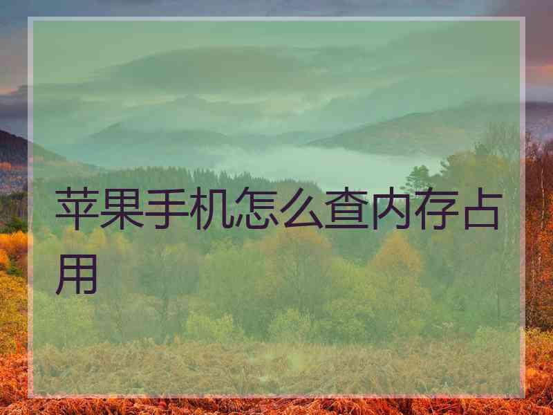 苹果手机怎么查内存占用