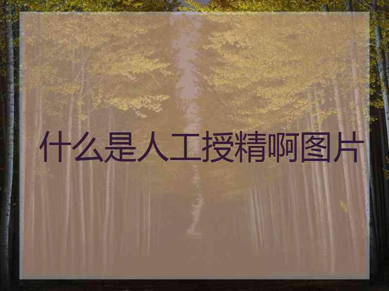 什么是人工授精啊图片