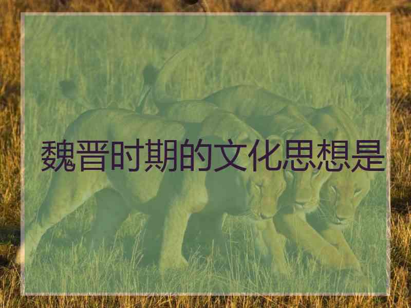 魏晋时期的文化思想是