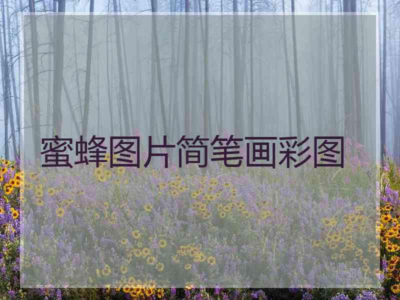 蜜蜂图片简笔画彩图