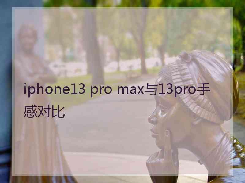 iphone13 pro max与13pro手感对比